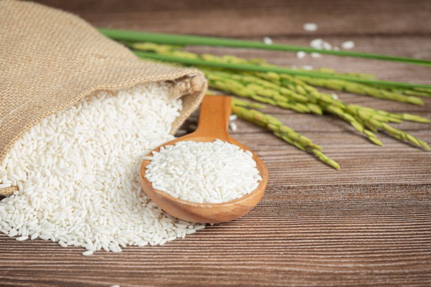 Preço do arroz: 5 razões da alta do preço em 2020/21