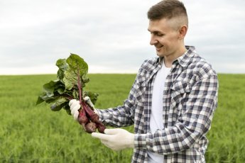 Biotecnologia Agrícola: que bicho é esse?